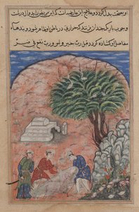 Talipler, bir Tuti-nâme