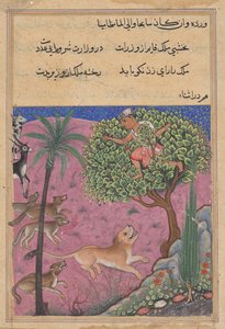 Kurt ve çakal, vezir olarak hizmet eder, Brahman