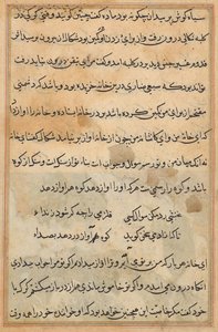 Tuti-Nama (Bir Papağan Masalları) by Unknown artist
