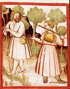 Codex 212