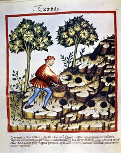 Bilinmeyen resim by Unknown artist
