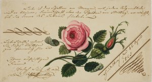 İsimsiz Valentine (Pembe Çiçek) by Unknown artist