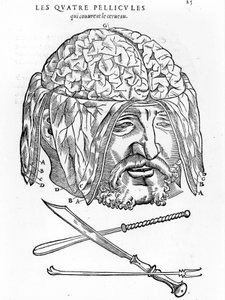 Walter Hermann Ryff: insan vücudunun tüm bölümlerinin anatomik tanımı: beyin. Paris 1545 by Unknown artist