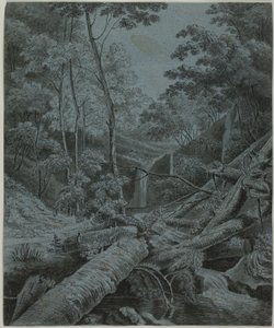 Ormanda Şelale ve Düşen Kütükler by Unknown artist