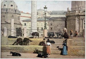 Antik Roma: Roma Forumu