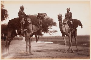 Delhi Tatbikat Kampında Deve Sowars by Unknown photographer