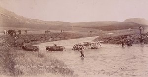 Boer Savaşı sırasında bir nehri geçen Canon by Unknown photographer