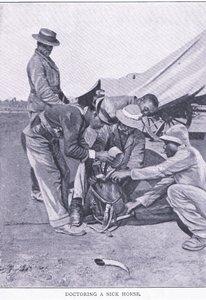 Hasta bir atı doktorlamak, Harmsworth Bros Limited tarafından yayınlanan After Pretoria: The Guerilla War
