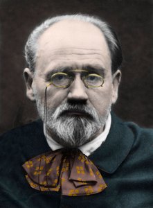 Emile Zola 1890