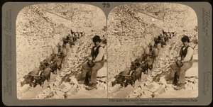 Carrara