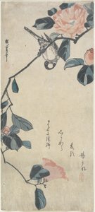 (Bird on Camellia), early 19th century