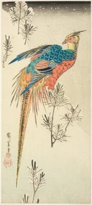 Küçük Çam Fidanları Arasında Sarp Karlı Bir Yamaçta Tünemiş Altın Sülün by Utagawa Hiroshige