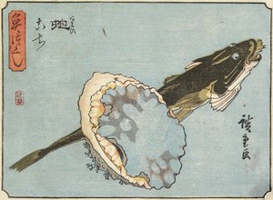 Abalone ve Flathead, 1830-1844