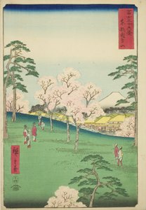 Doğu Başkentindeki Asuka Tepesi (Toto Asukayama), "Fuji Dağı