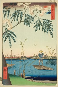 Ayase Nehri Önerisi d Kanegafuchi (Ayasegawa Kanegafuchi), tem teserie