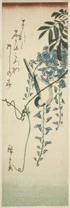 kuş ve wisteria by Utagawa Hiroshige