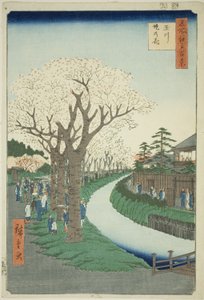 Blossoms on the Tama River Embankment (Tamagawa-zutsumi no hana), from the series "One Hundred Famous Views of Edo (Meisho Edo hyakkei)" by Utagawa Hiroshige