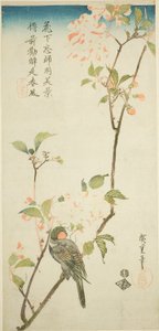 aronia dalı üzerinde şakrak kuşu by Utagawa Hiroshige
