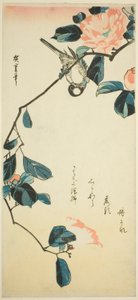 Kamelya dalı üzerinde şakrak kuşu by Utagawa Hiroshige