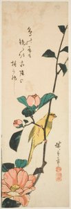 Kanarya ve kamelyalar by Utagawa Hiroshige