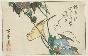 Kanarya ve sabah zaferleri by Utagawa Hiroshige