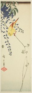 Kanarya ve wisteria by Utagawa Hiroshige