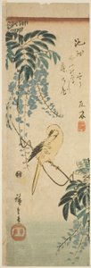 Kanarya ve wisteria by Utagawa Hiroshige