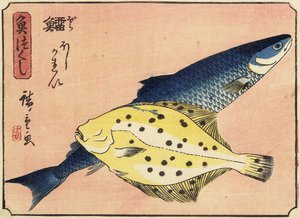 Morina ve Halibut, 1830-1844