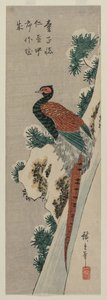 Karlı Şelaleden Bakır Sülün by Utagawa Hiroshige