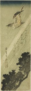 Yağmurda uçan guguk kuşu by Utagawa Hiroshige