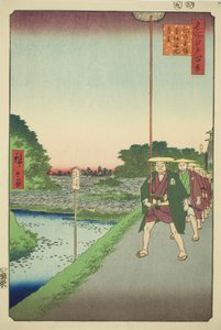 "Edo