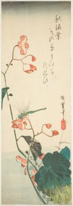Yusufçuk ve begonya by Utagawa Hiroshige