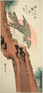 Doğan Güneş ile Çam Ağacında Şahin by Utagawa Hiroshige