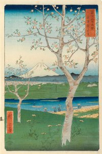 Koshigaya