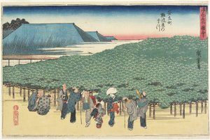 Dev Çam Çamı Naniwayain Anryu _-Machi, c. 1834