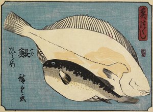 Globefish ve Pisi Balığı, 1830-1844