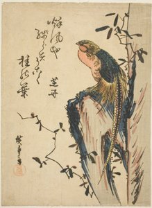 altın sülün by Utagawa Hiroshige