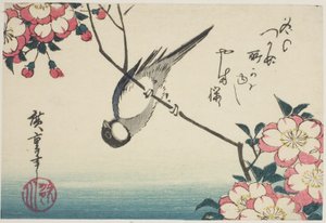 Kiraz çiçeği dalında büyük baştankara by Utagawa Hiroshige