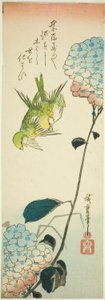Yeşil kuşlar ve ortancalar by Utagawa Hiroshige