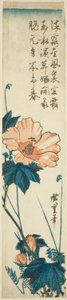 Ebegümeci by Utagawa Hiroshige
