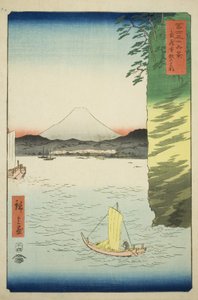 Honmoku üyesi Musashi P Rovinse (Musashi Honmoku