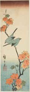 Bir akçaağaç dalında Japon beyaz gözleri by Utagawa Hiroshige
