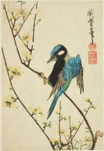 Java serçesi kiraz dalında by Utagawa Hiroshige