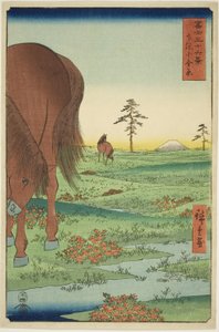 Golden Pine üyesi teğmen P Rovinse (Shimosa Koganehara), teserie