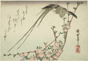Uzun kuyruklu kuş ve şeftali çiçekleri by Utagawa Hiroshige