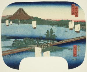 Seta