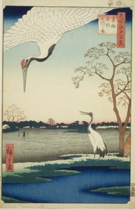 Minowa, Kanasugi, Mikawashima, f Rom Teserie