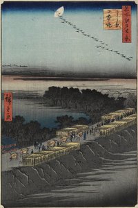 Nihon Dolgusu, Yoshiwara, Nisan 1857