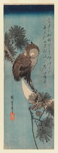 Çam dalında baykuş, c.1833 (renkli tahta baskı) by Utagawa Hiroshige