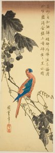 asma üzerinde papağan by Utagawa Hiroshige